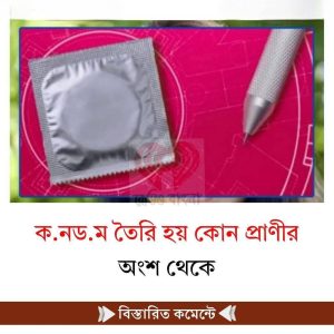 ক.নড.ম তৈরি হয় কোন প্রাণীর অংশ থেকে