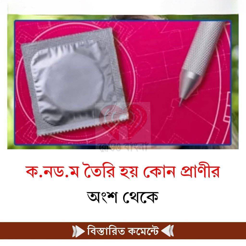 ক.নড.ম তৈরি হয় কোন প্রাণীর অংশ থেকে