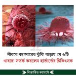 নীরবে ক্যান্সারের ঝুঁকি বাড়ায় যে ৬টি খাবার! সতর্ক করলেন হার্ভার্ডের চিকিৎসক