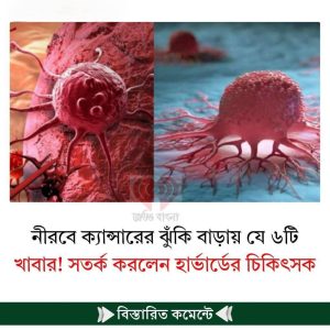 নীরবে ক্যান্সারের ঝুঁকি বাড়ায় যে ৬টি খাবার! সতর্ক করলেন হার্ভার্ডের চিকিৎসক
