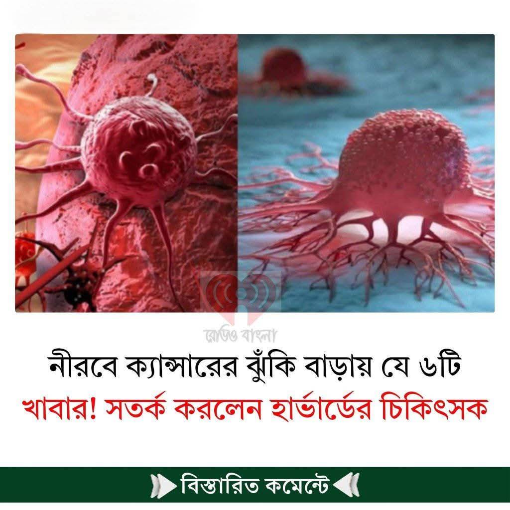 নীরবে ক্যান্সারের ঝুঁকি বাড়ায় যে ৬টি খাবার! সতর্ক করলেন হার্ভার্ডের চিকিৎসক