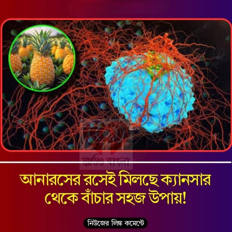 আনারসের রসেই মিলছে ক্যানসার থেকে বাঁচার সহজ উপায়!