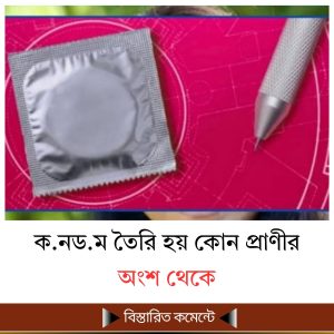 ক.নড.ম তৈরি হয় কোন প্রাণীর অংশ থেকে