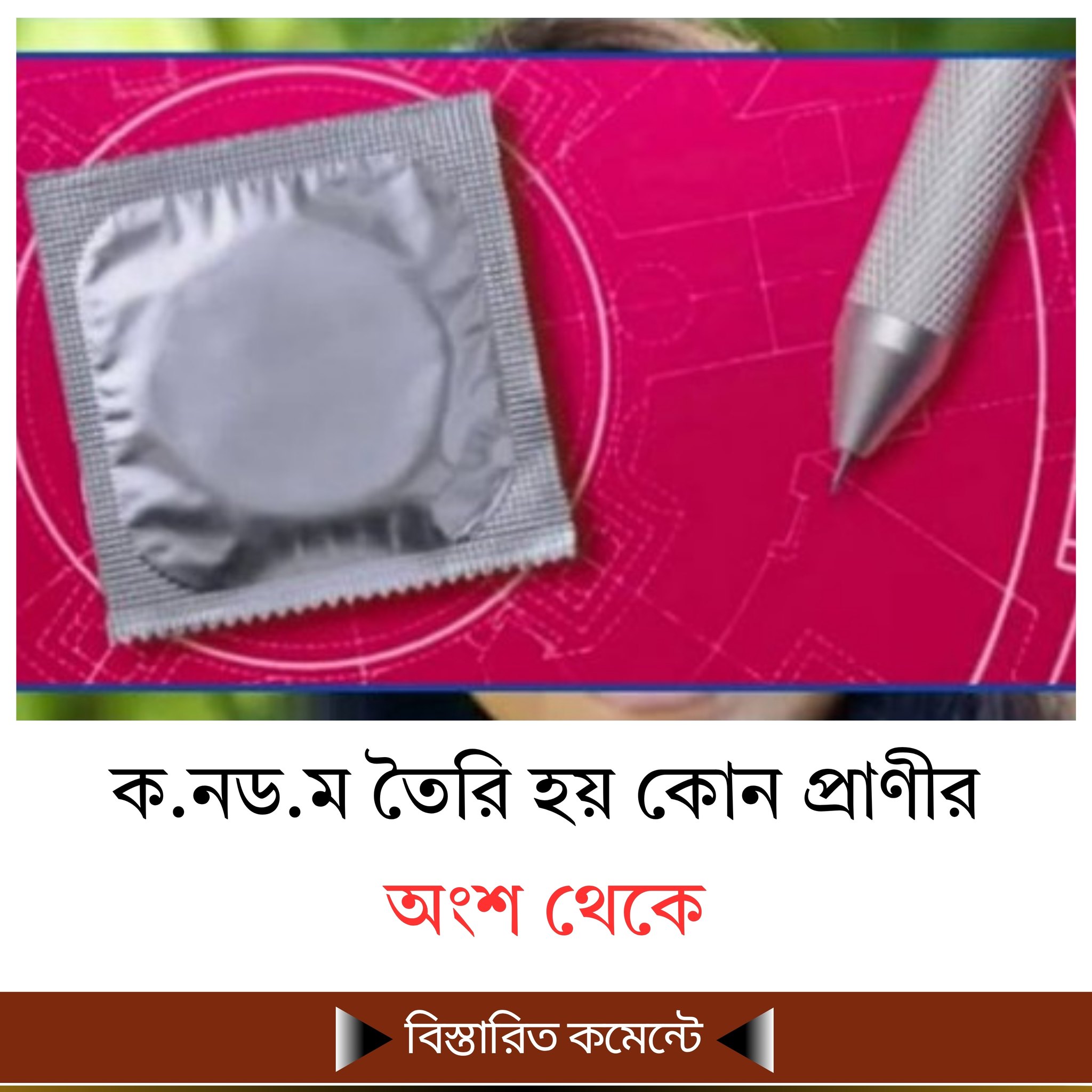 ক.নড.ম তৈরি হয় কোন প্রাণীর অংশ থেকে