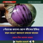 পেঁয়াজে কালো ছোপ কীসের ইঙ্গিত বহন করে? জানলে চমকে যাবেন, জেনে নিন