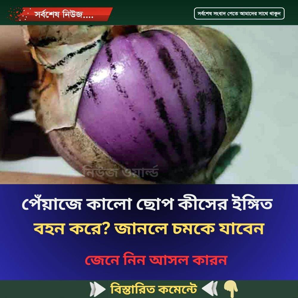 পেঁয়াজে কালো ছোপ কীসের ইঙ্গিত বহন করে? জানলে চমকে যাবেন, জেনে নিন