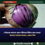 পেঁয়াজে কালো ছোপ কীসের ইঙ্গিত বহন করে? জানলে চমকে যাবেন, জেনে নিন
