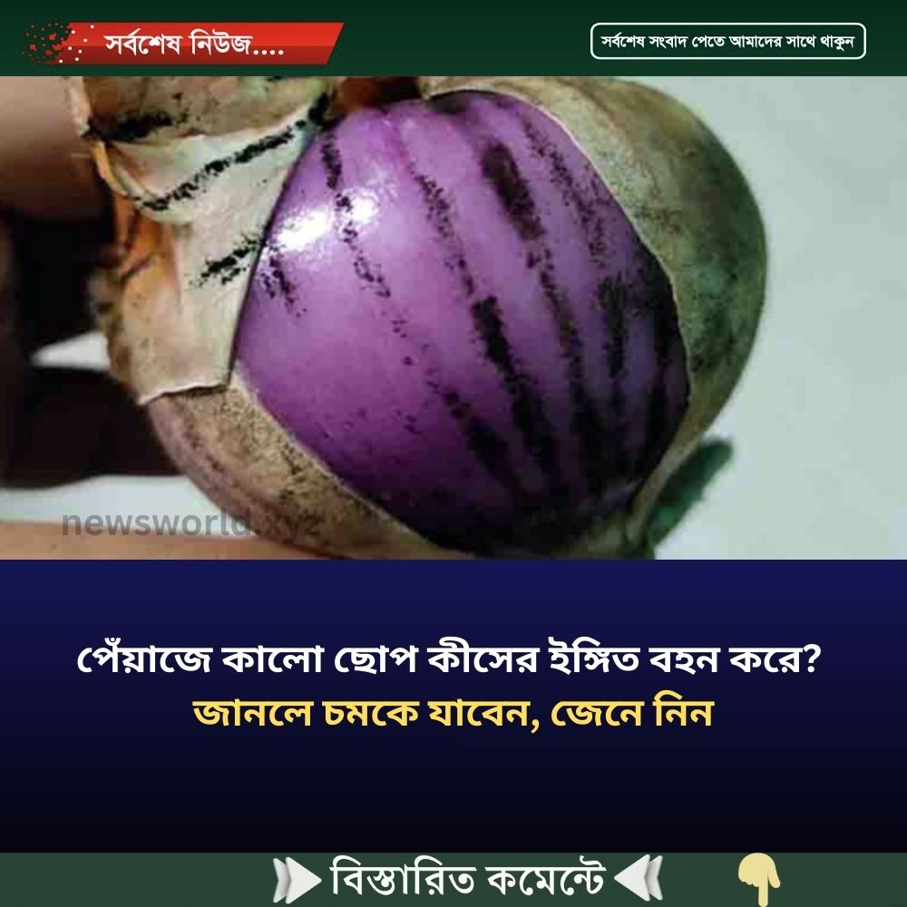 পেঁয়াজে কালো ছোপ কীসের ইঙ্গিত বহন করে? জানলে চমকে যাবেন, জেনে নিন