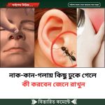 নাক-কান-গলায় কিছু ঢুকে গেলে কী করবেন জেনে রাখুন