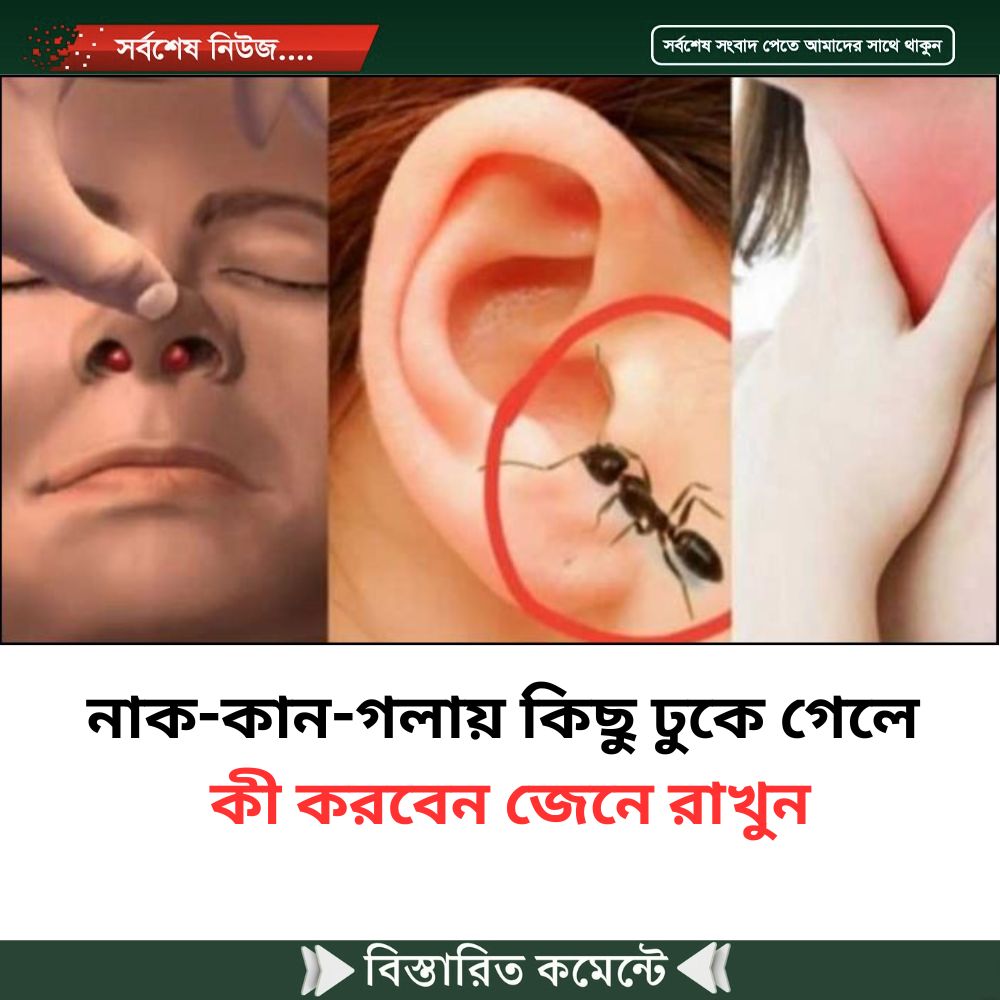 নাক-কান-গলায় কিছু ঢুকে গেলে কী করবেন জেনে রাখুন