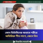 কোন ভিটামিনের অভাবে শরীরে অতিরিক্ত শীত লাগে, জেনে নিন