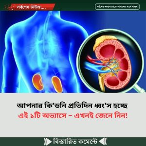 আপনার কি’ডনি প্রতিদিন ধ্বং’স হচ্ছে এই ১টি অভ্যাসে – এখনই জেনে নিন!