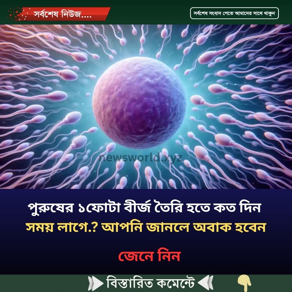 পুরুষের ১ফোটা বীর্জ তৈরি হতে কত দিন সময় লাগে.? আপনি জানলে অবাক হবেন