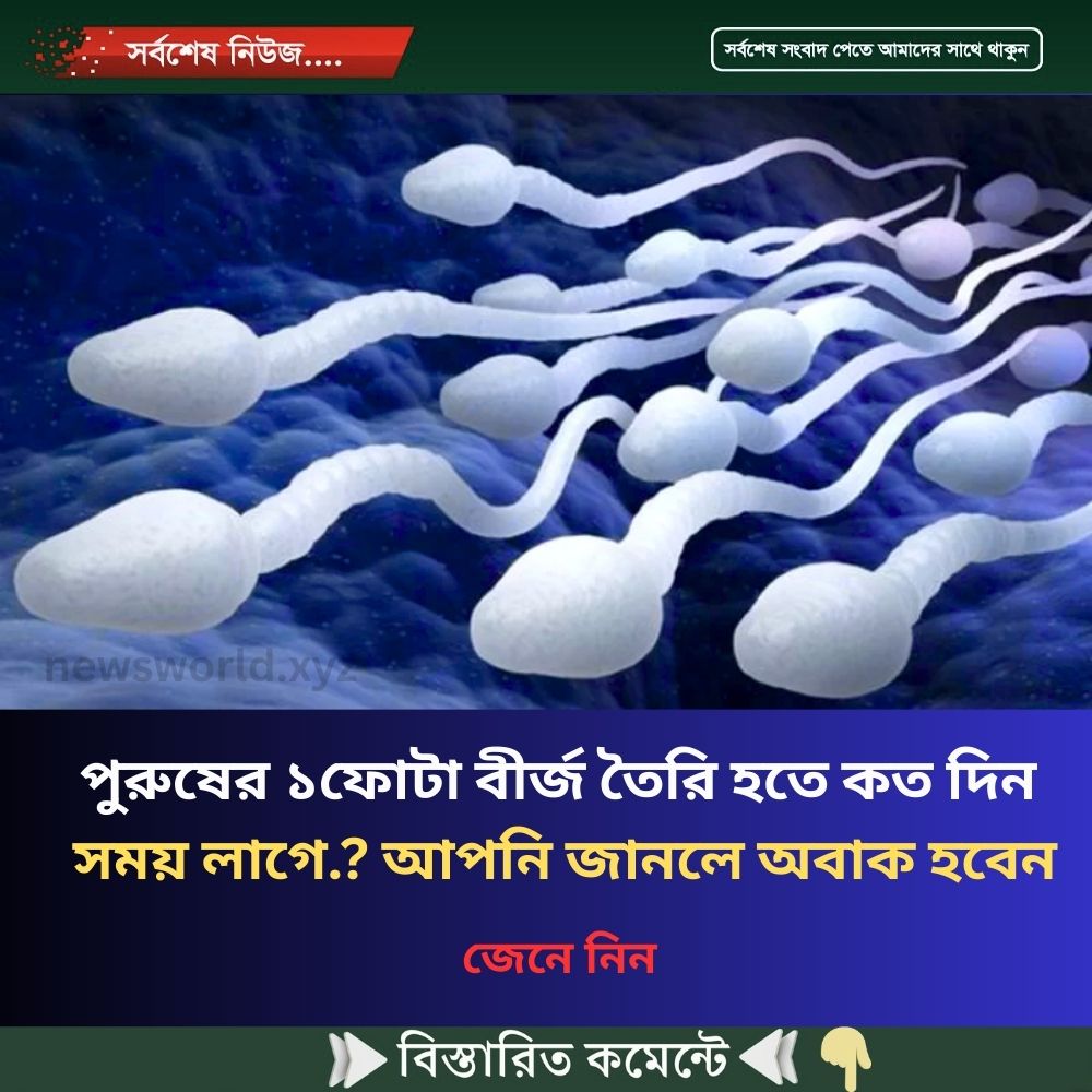 পুরুষের ১ফোটা বীর্জ তৈরি হতে কত দিন সময় লাগে.? আপনি জানলে অবাক হবেন