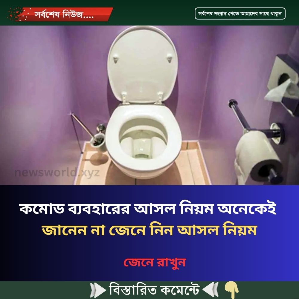 কমোড ব্যবহারের আসল নিয়ম অনেকেই জানেন না, জেনে নিন আসল নিয়ম