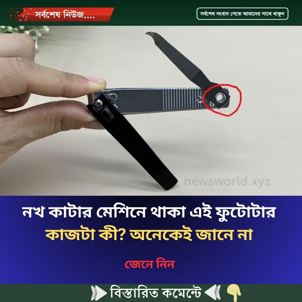 নখ কাটার মেশিনে থাকা এই ফুটোটার কাজটা কী? অনেকেই জানে না