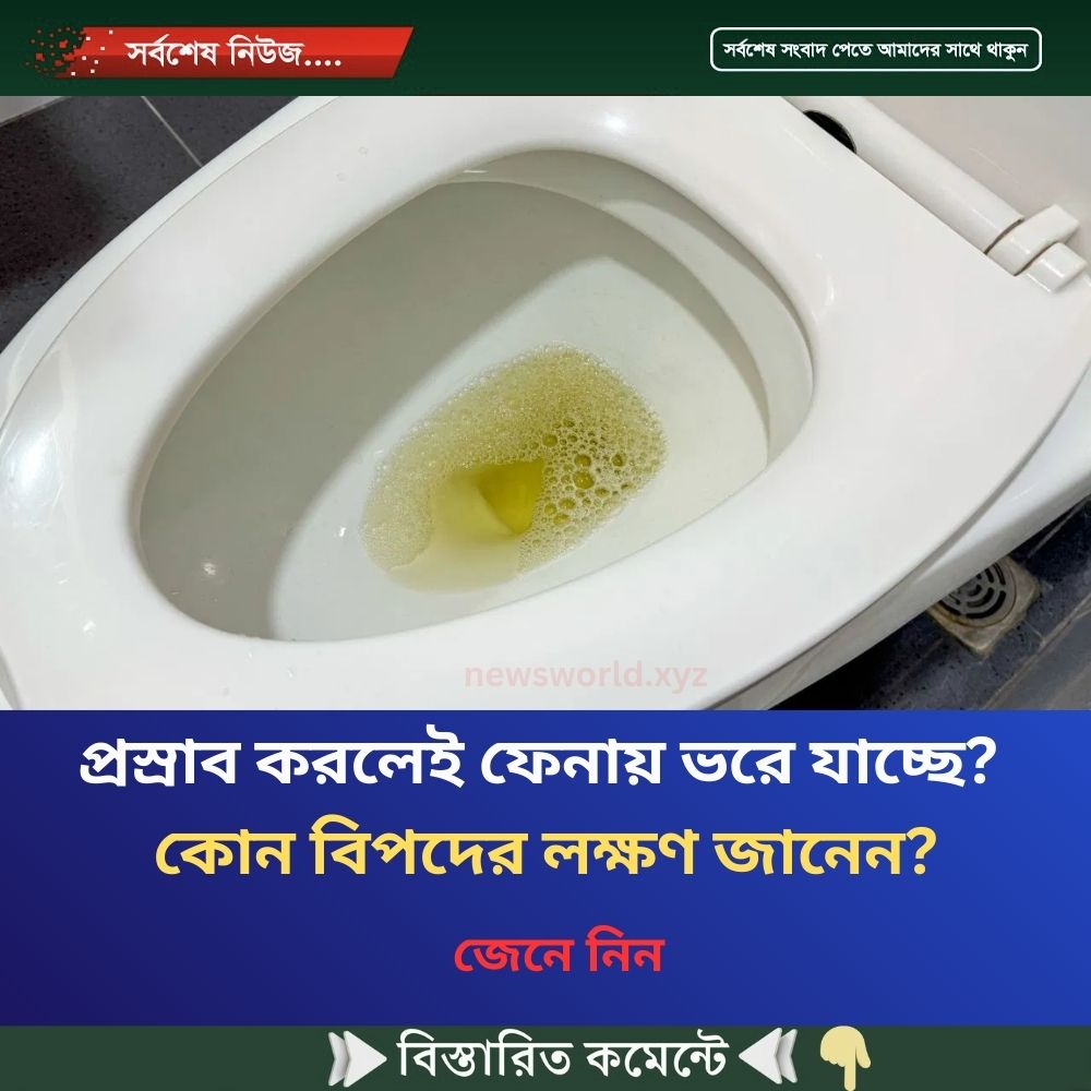 প্রস্রাব করলেই ফেনায় ভরে যাচ্ছে? কোন বিপদের লক্ষণ জানেন?