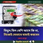 বিদ্যুৎ বিল বেশি আসে কি না, নিজেই যেভাবে যাচাই করবেন
