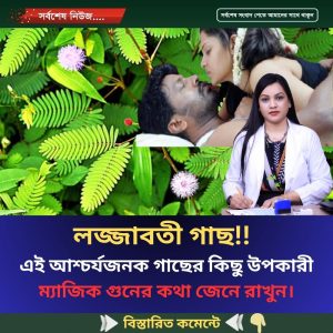 এই আশ্চর্যজনক গাছের কিছু উপকারী ম্যাজিক গুনের কথা জেনে রাখুন।
