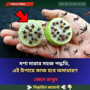 মশা মারার সহজ পদ্ধতি, এই উপায়ে কাজ হবে অসাধারণ