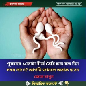 পুরুষের ১ফোটা বীর্জ তৈরি হতে কত দিন সময় লাগে? আপনি জানলে অবাক হবেন