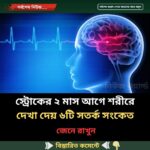স্ট্রোকের ২ মাস আগে শরীরে দেখা দেয় ৬টি সতর্ক সংকেত