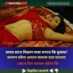 বাসর রাতে বিড়াল মারা বলতে কি বুঝায়? আসল ঘটনা শুনলে অবাক হয়ে যাবেন!