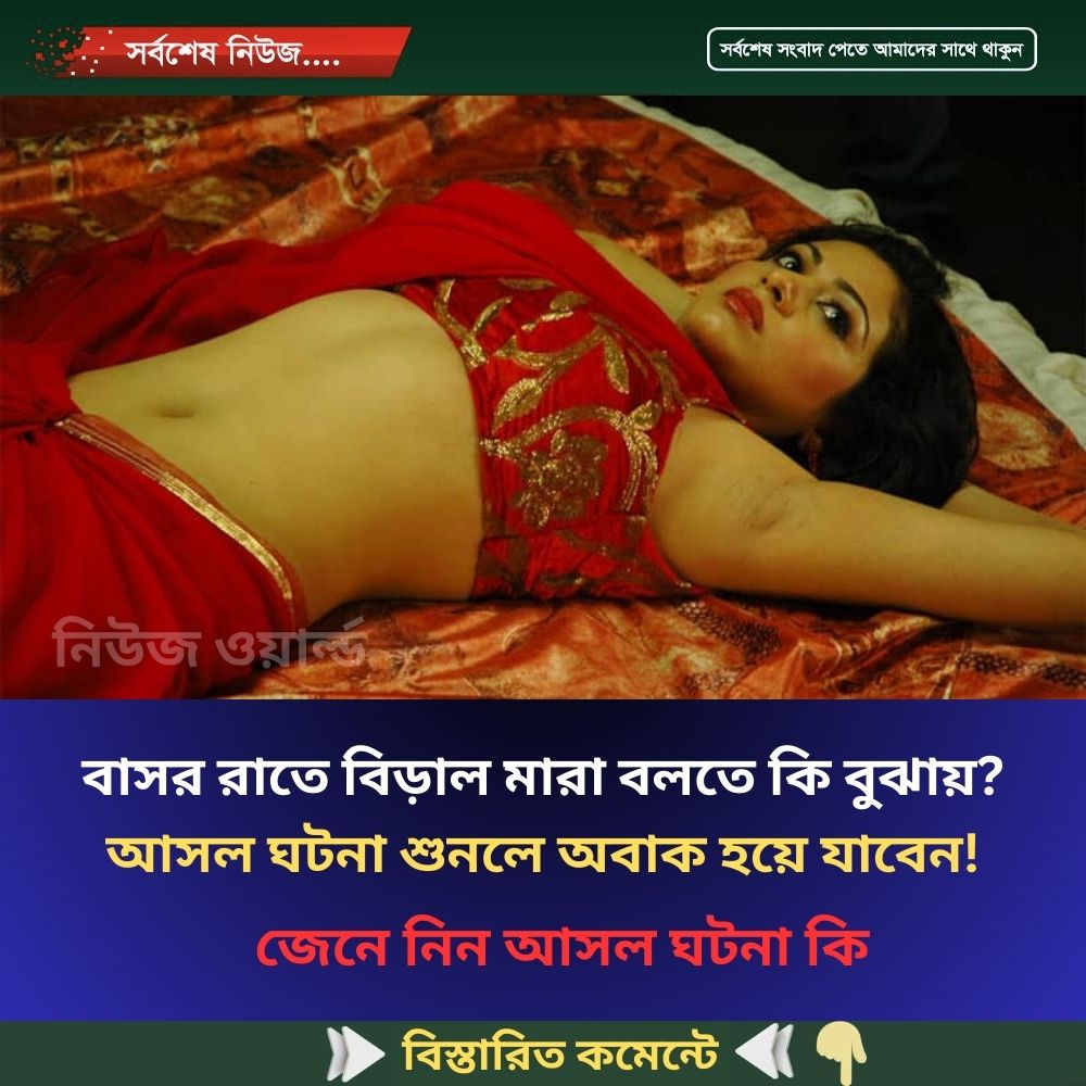 বাসর রাতে বিড়াল মারা বলতে কি বুঝায়? আসল ঘটনা শুনলে অবাক হয়ে যাবেন!
