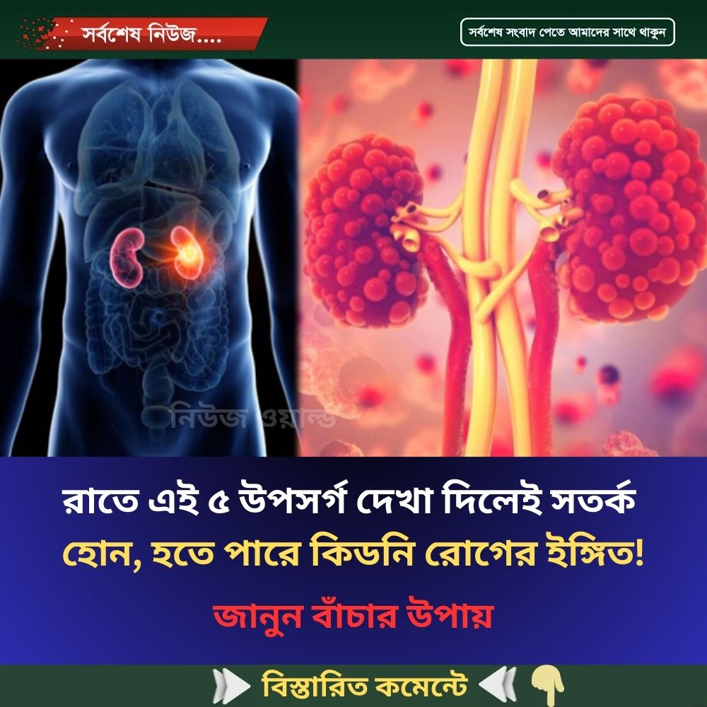 রাতে এই ৫ উপসর্গ দেখা দিলেই সতর্ক হোন, হতে পারে কি’ডনি রো’গের ইঙ্গিত!