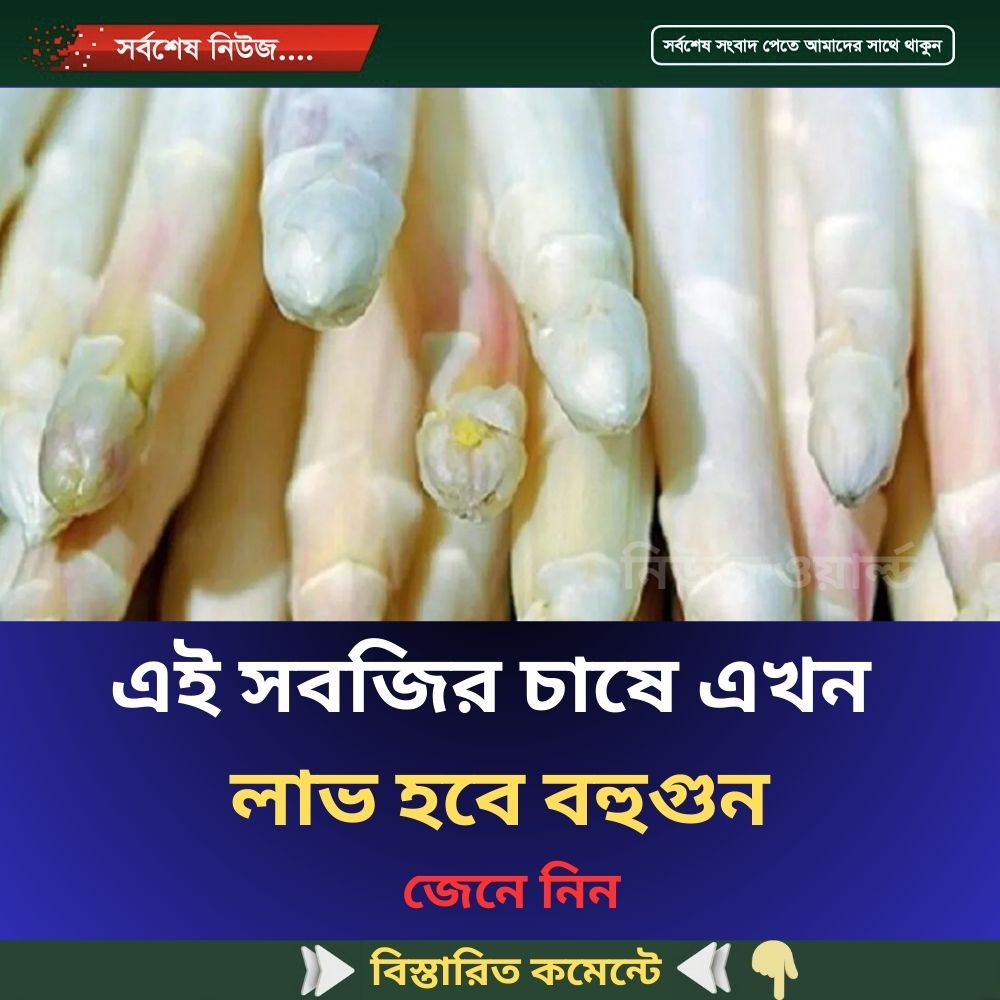 এই সবজির চাষে এখন লাভ হবে বহুগুন জেনে নিন