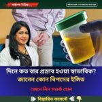 দিনে কত বার প্রস্রাব হওয়া স্বাভাবিক? জানেন কোন বিপদের ইঙ্গিত